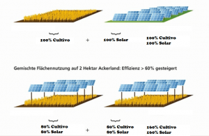 placas solares encima de cultivos