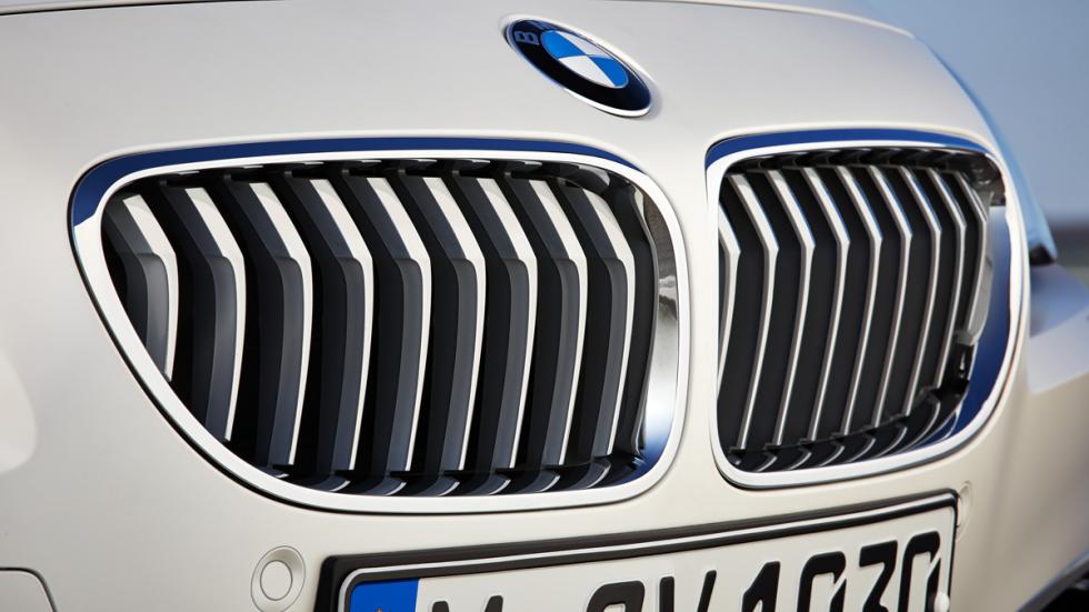 Riñones característicos de los BMW Riñones característicos de los BMW