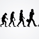 Human evolution