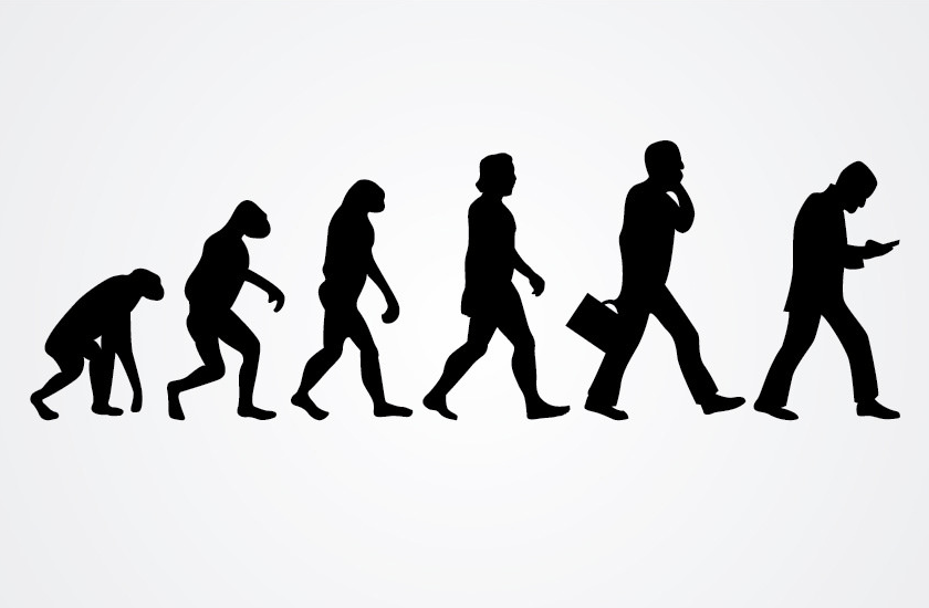 Human evolution