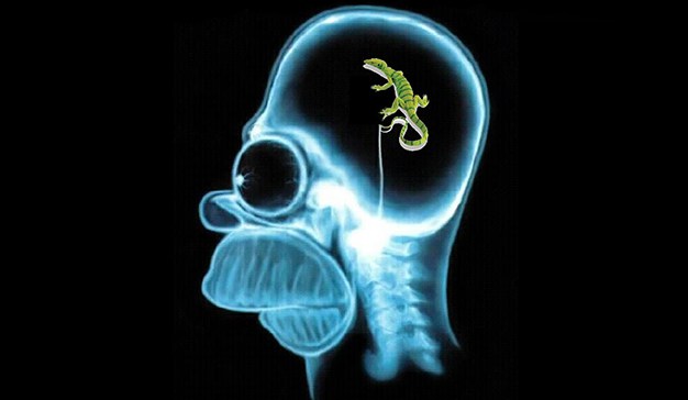 Cerebro Reptil - Fuente: www.marketingdirecto.com