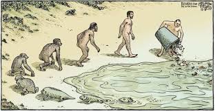 "Evolucion" by "Comics Bocalista"