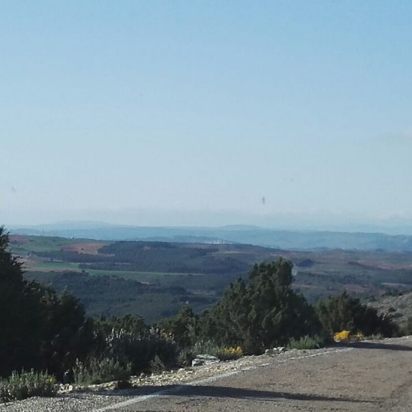 Carretera secundaria de Ariza a Molina de Aragón
