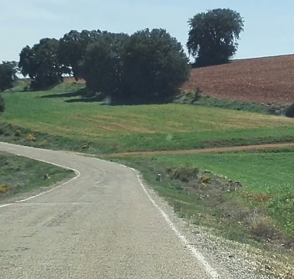 Carretera secundaria de Ariza a Molina de Aragón