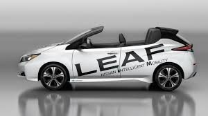 leaf-open-car