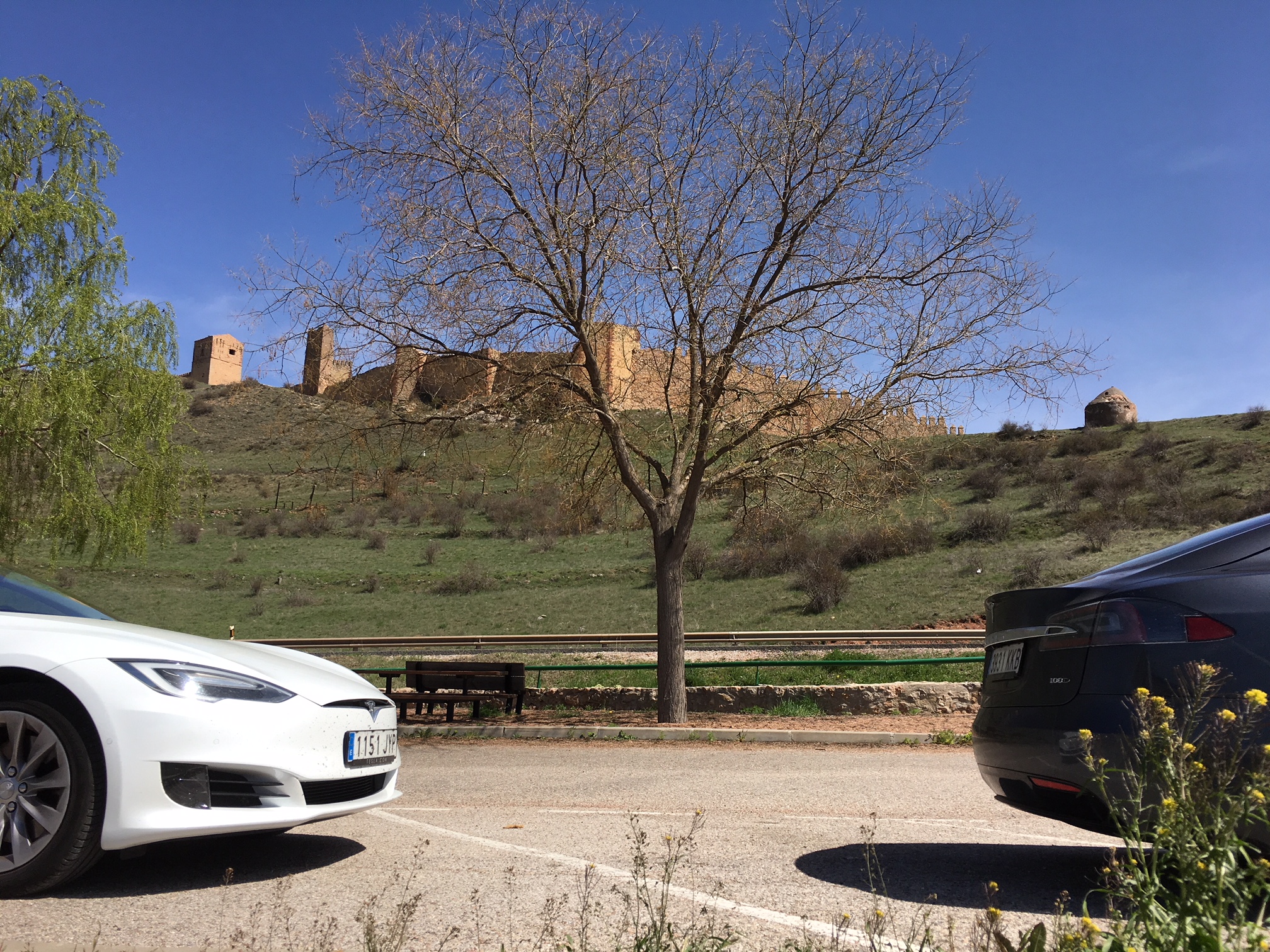 Model S 75 vs Model S 100D