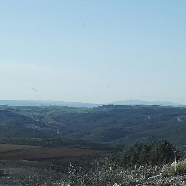 Carretera secundaria de Ariza a Molina de Aragón